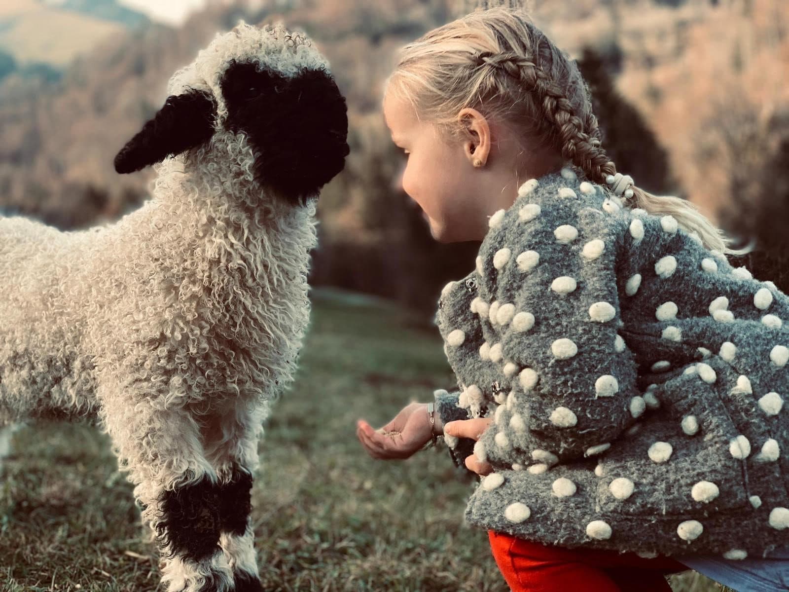 Ils vivent toute l'année dans les champs autour de la ferme. Vous et vos enfants
