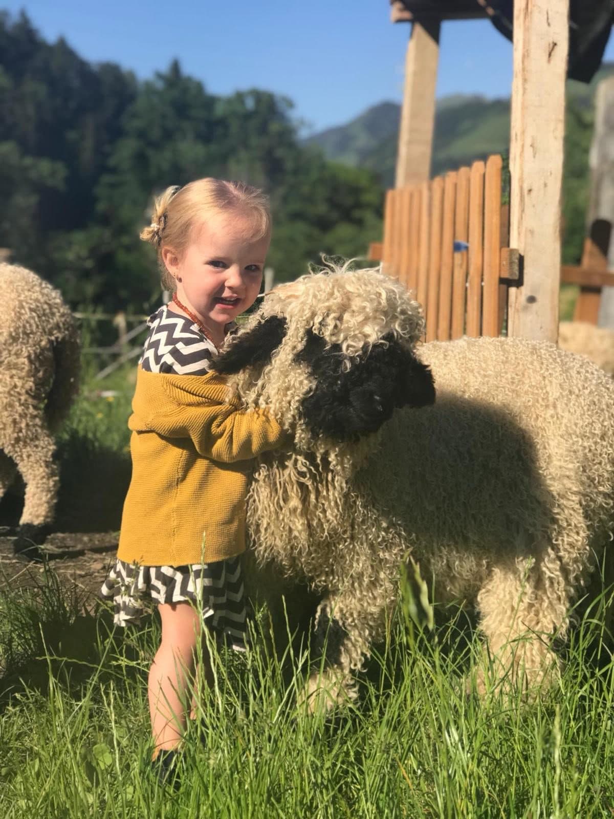 I. Rencontre au pâturage